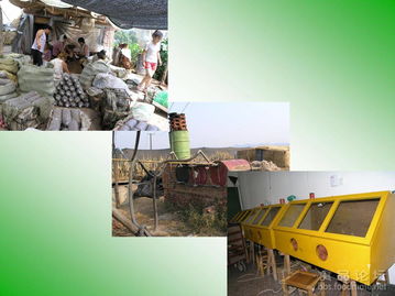 我國食用菌菌種管理技術解析與進出口實務探討