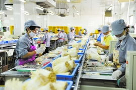 通州借勢打造食用菌產業帶，構筑菌種進出口新高地